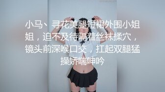 【私密群第40季】高端私密群内部福利40季美女如云