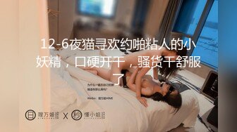 12-6夜猫寻欢约啪粘人的小妖精，口硬开干，骚货干舒服了