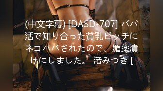 (中文字幕) [DASD-707] パパ活で知り合った貧乳ビッチにネコババされたので、媚薬漬けにしました。 渚みつき [