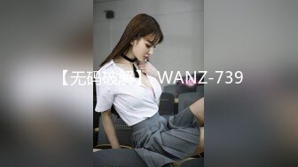 【无码破解】-WANZ-739