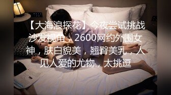 【大海浪探花】今夜尝试挑战沙发视角，2600网约外围女神，肤白貌美，翘臀美乳，人见人爱的尤物，太挑逗