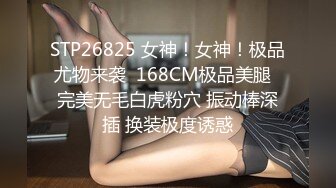 《新流✅劲爆重磅✅资源》万人求档OnlyFans网红男女通吃SM调_教御姐maya女王订阅私拍绳缚 虐_乳 拘束 强制高潮 鞭打 (8)