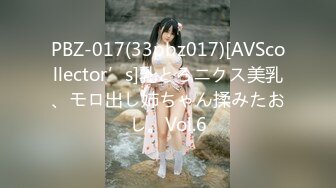 PBZ-017(33pbz017)[AVScollector’s]乳とろニクス美乳、モロ出し姉ちゃん揉みたおし。Vol.6