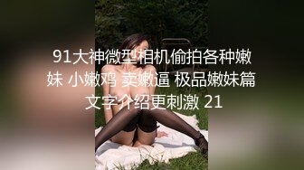 最新2020长腿美乳网红『可爱的小胖丁』激情啪啪新作-激烈车震持久战 无套顶操内射 高清720P版 (1)