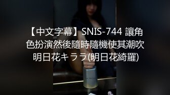 麻豆传媒 sns-008 梦寐已久的放纵艳遇-宋雨川