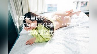 国产麻豆AV 番外 麻豆番外 陌生人的爱 模特美女勾引维修师傅在浴室里激情原版