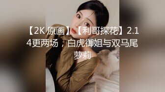 全套情趣空姐制服外围美女，修长美腿渔网袜，吸吮舔屌插嘴口活一流，扶着细腰后入肥穴，站立侧入镜头前一进一出