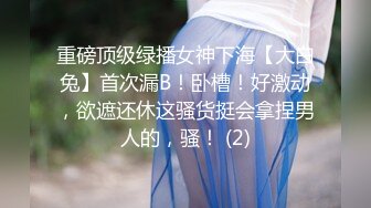 【极品稀缺厕拍】时尚平面模特入镜身材腿型都很棒 美女上完厕所起身擦逼逼的样子很性感 (1)