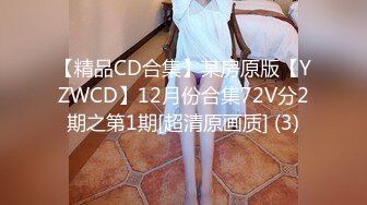 SWAG 业绩No.1 の卖车女业务秘书 Princessdolly