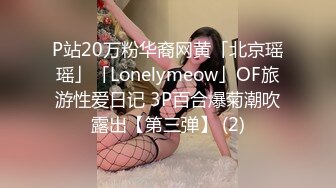 P站20万粉华裔网黄「北京瑶瑶」「Lonelymeow」OF旅游性爱日记 3P百合爆菊潮吹露出【第三弹】 (2)