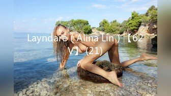 Layndare（Alina Lin）【62V】 (21)