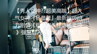 CCAV&星空无限传媒联合出品 XK0001 出租女友 阻隔女友过大年 韓小野