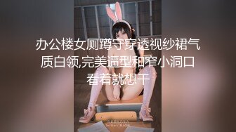 办公楼女厕蹲守穿透视纱裙气质白领,完美逼型和窄小洞口看着就想干