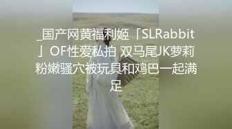 _国产网黄福利姬「SLRabbit」OF性爱私拍 双马尾JK萝莉粉嫩骚穴被玩具和鸡巴一起满足