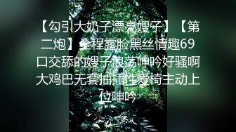 后入乘务长肥臀