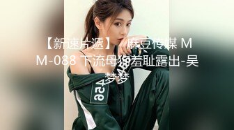 熟女骚货6-打桩机