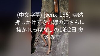 (中文字幕) [venx-135] 突然押しかけてきた嫁の姉さんに抜かれっぱなしの1泊2日 奥田ふみ菜