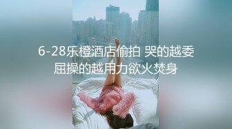 我来自北京美女模特瑶瑶与意大利帅哥男友穿着性感黑丝情趣内衣客厅卫生间做爱