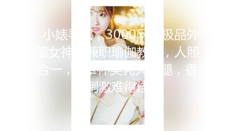   小婊寻欢，3000网约极品外围女神，兼职瑜伽教练，人照合一，D罩杯美乳大长腿，香艳刺激难得佳作