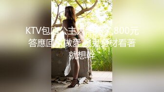 我的骚老婆十一部