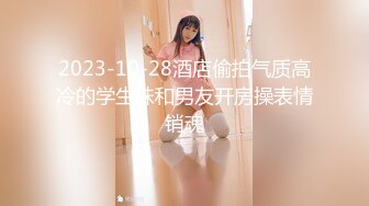 工作的女性  vol.15