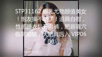 STP26074 【女神的幸福生活】气质超美小姐姐，反差婊一脸淫荡，浪叫呻吟好听，搞玩还不尽兴，振动棒抽插肥穴