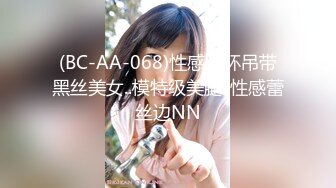 (BC-AA-068)性感腿环吊带黑丝美女..模特级美腿..性感蕾丝边NN