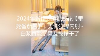 大奶子美女和男友玩的真嗨！玩69姿势互舔生殖器