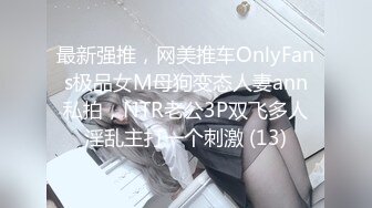 最新强推，网美推车OnlyFans极品女M母狗变态人妻ann私拍，NTR老公3P双飞多人淫乱主打一个刺激 (13)