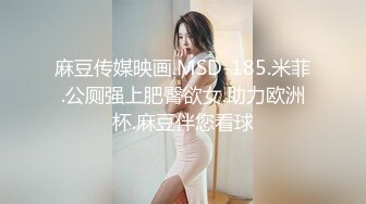 麻豆传媒映画.MSD-185.米菲.公厕强上肥臀欲女.助力欧洲杯.麻豆伴您看球