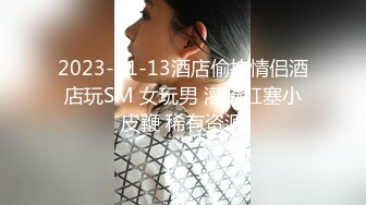 2023-11-13酒店偷拍情侣酒店玩SM 女玩男 灌肠肛塞小皮鞭 稀有资源