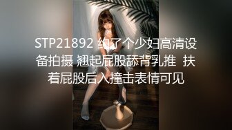  2024-09-14 大像传媒DA-53街頭搭訕神似波多野結衣的傲嬌女僕