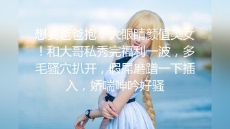 自录无水~潮吹女王~P4【小狐狸520】魅惑女王~丝袜裸舞~道具自慰~穿丝玩穴~疯狂喷水【17V】 (7)