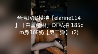 台湾JVID模特「elarine114」「白雪蘿綝」OF私拍 185cm身36F奶【第二弹】 (2)