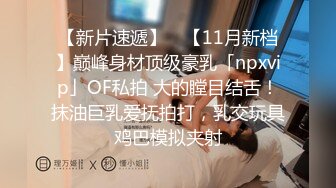 OnlyFan 模特超大胸