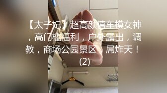 【太子妃】超高颜值车模女神，高门槛福利，户外露出，调教，商场公园景区，屌炸天！ (2)