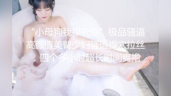 “小母狗我操死你”极品骚逼高颜值美臀少妇骚语操穴拉丝，四个多小时超长时间爽撸