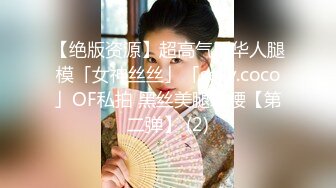 【绝版资源】超高气质华人腿模「女神丝丝」「sexy.coco」OF私拍 黑丝美腿蜂腰【第二弹】 (2)