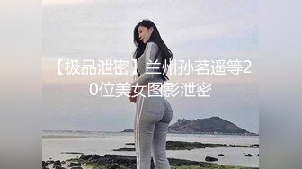 《精品绝版大师级作品》走情色唯美路线的推特摄影大咖女体户外露出艺术私拍集各种露脸极品反差婊非常养眼337P 2V