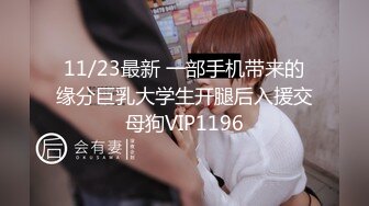 11/23最新 一部手机带来的缘分巨乳大学生开腿后入援交母狗VIP1196