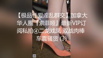 【极品性爱淫乱群交】加拿大华人圈『索菲娅』最新VIP订阅私拍④二龙戏凤 双战肉棒 车震骚货 (3)