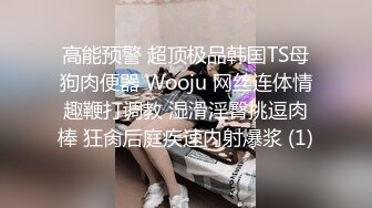 高能预警 超顶极品韩国TS母狗肉便器 Wooju 网丝连体情趣鞭打调教 湿滑淫臀挑逗肉棒 狂肏后庭疾速内射爆浆 (1)