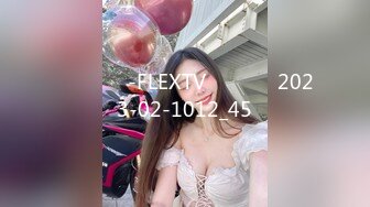 플렉스티비-FLEXTV공식사이트2023-02-1012_45