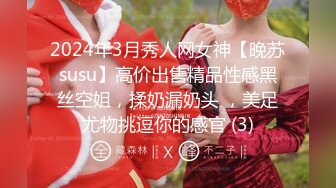 2024年3月秀人网女神【晚苏susu】高价出售精品性感黑丝空姐，揉奶漏奶头 ，美足尤物挑逗你的感官 (3)