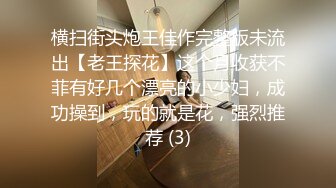 丝袜美腿番号HYAZ系列原档合集【25V】 (19)