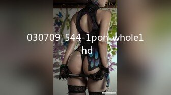 030709_544-1pon-whole1_hd