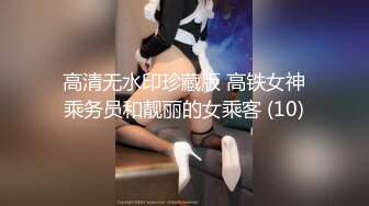 高清无水印珍藏版 高铁女神乘务员和靓丽的女乘客 (10)