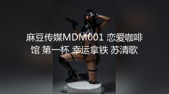 麻豆传媒MDM001 恋爱咖啡馆 第一杯 幸运拿铁 苏清歌