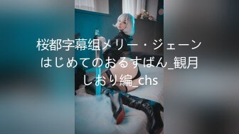 桜都字幕组メリー・ジェーンはじめてのおるすばん_観月しおり編_chs