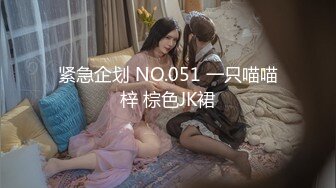 紧急企划 NO.051 一只喵喵梓 棕色JK裙